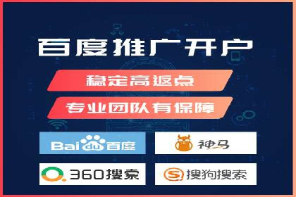 SEO与百度推广结合的营销策略——经典案例解析